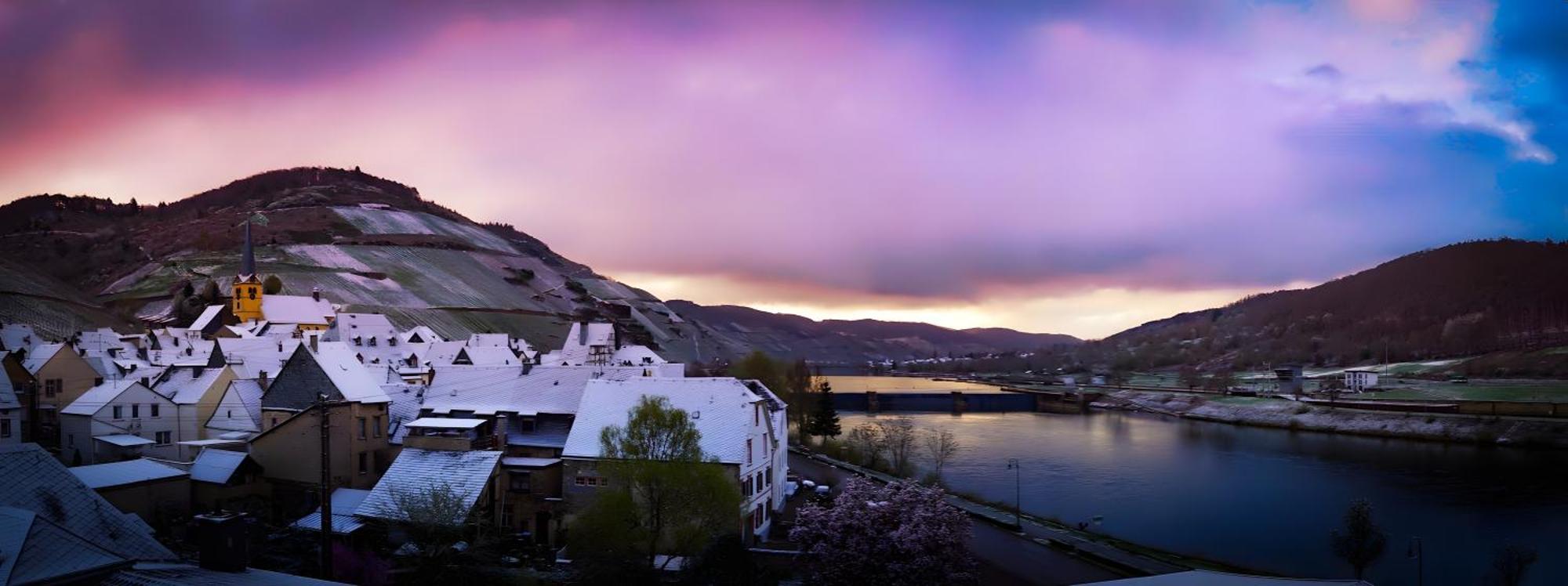 Vegan Hotel Und Restaurants Nicolay 1881 ツェルティンゲン・ラハティグ エクステリア 写真