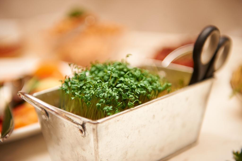 Vegan Hotel Und Restaurants Nicolay 1881 ツェルティンゲン・ラハティグ エクステリア 写真